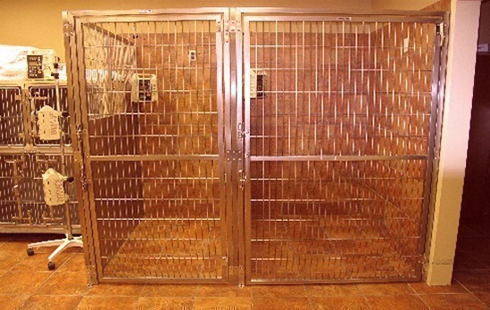 Indoor Runs and Kennels
